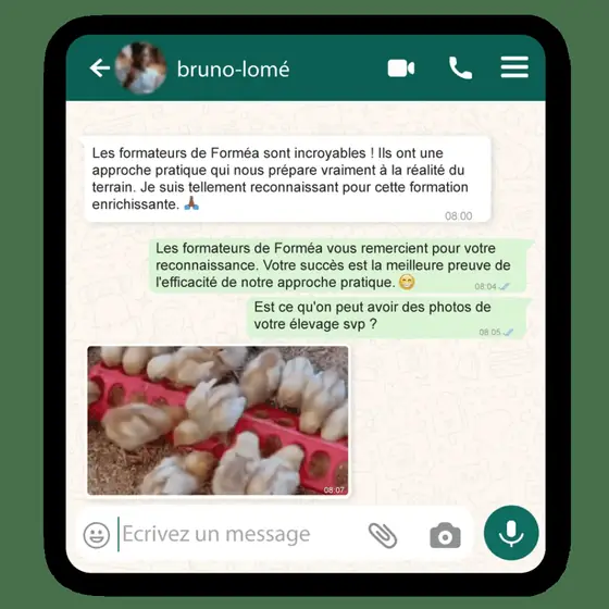 Messages reçus sur WhatsApp — Bruno · Togo