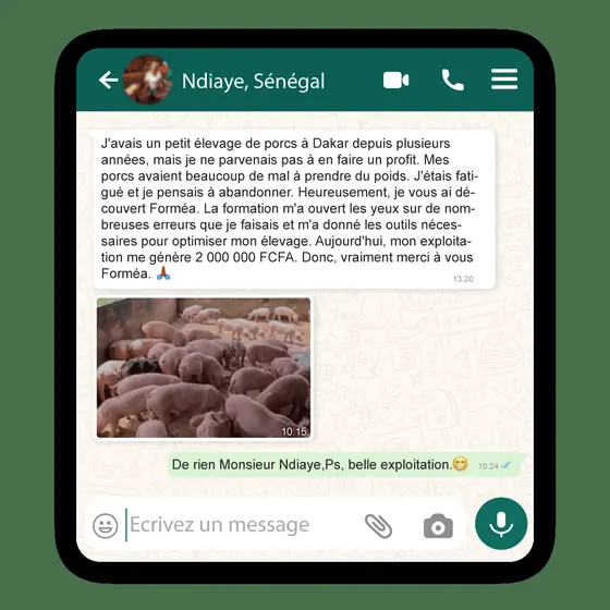 Messages reçus sur WhatsApp — Ndiaye · Sénégal